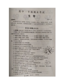 2020濮阳高一上学期期末考试生物试卷扫描版含答案