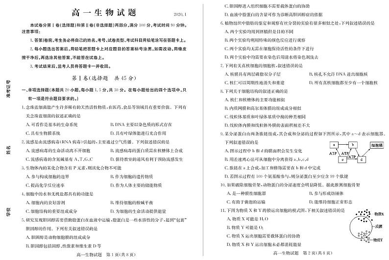 2020德州高一上学期期末考试生物试题PDF版含答案01