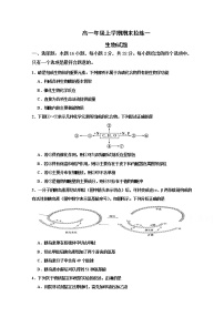 2020滨州行知中学高一上学期期末模拟（一）生物试题含答案