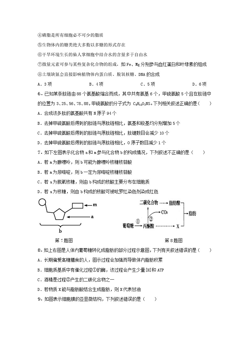 2020阜阳三中高一上学期期末考试生物试题含解析02