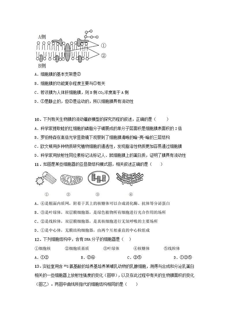 2020阜阳三中高一上学期期末考试生物试题含解析03