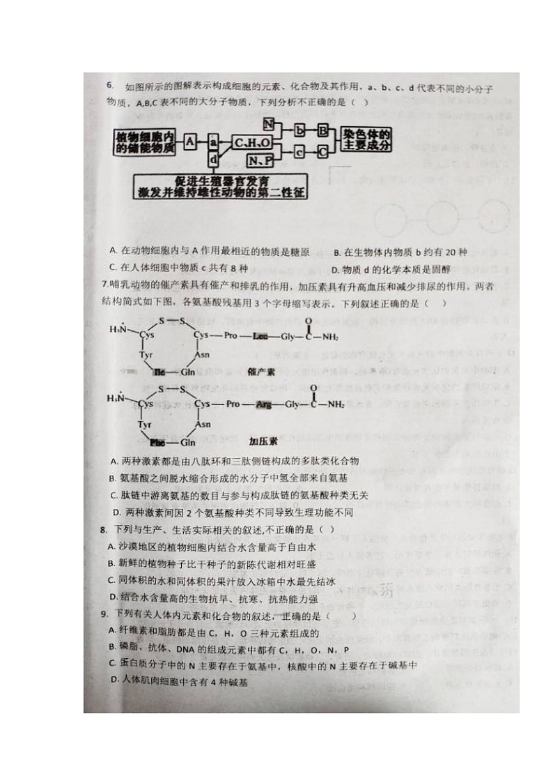 2020抚州高一上学期学业发展水平测试（期末）生物试卷扫描版含答案第2页