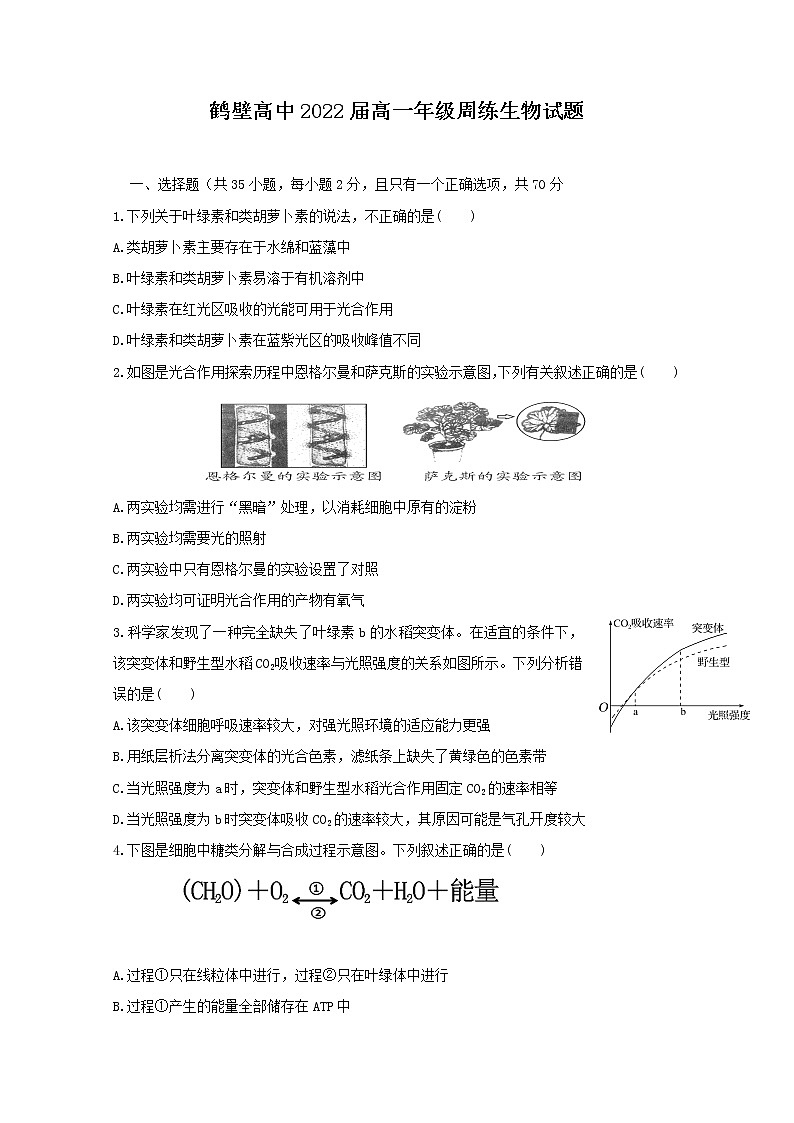 2020鹤壁高级中学高一上学期第八次双周练生物试题含答案第1页