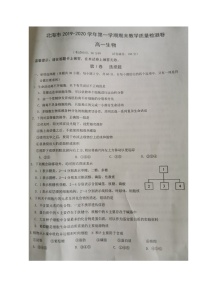 2020北海高一上学期期末考试生物试题扫描版缺答案