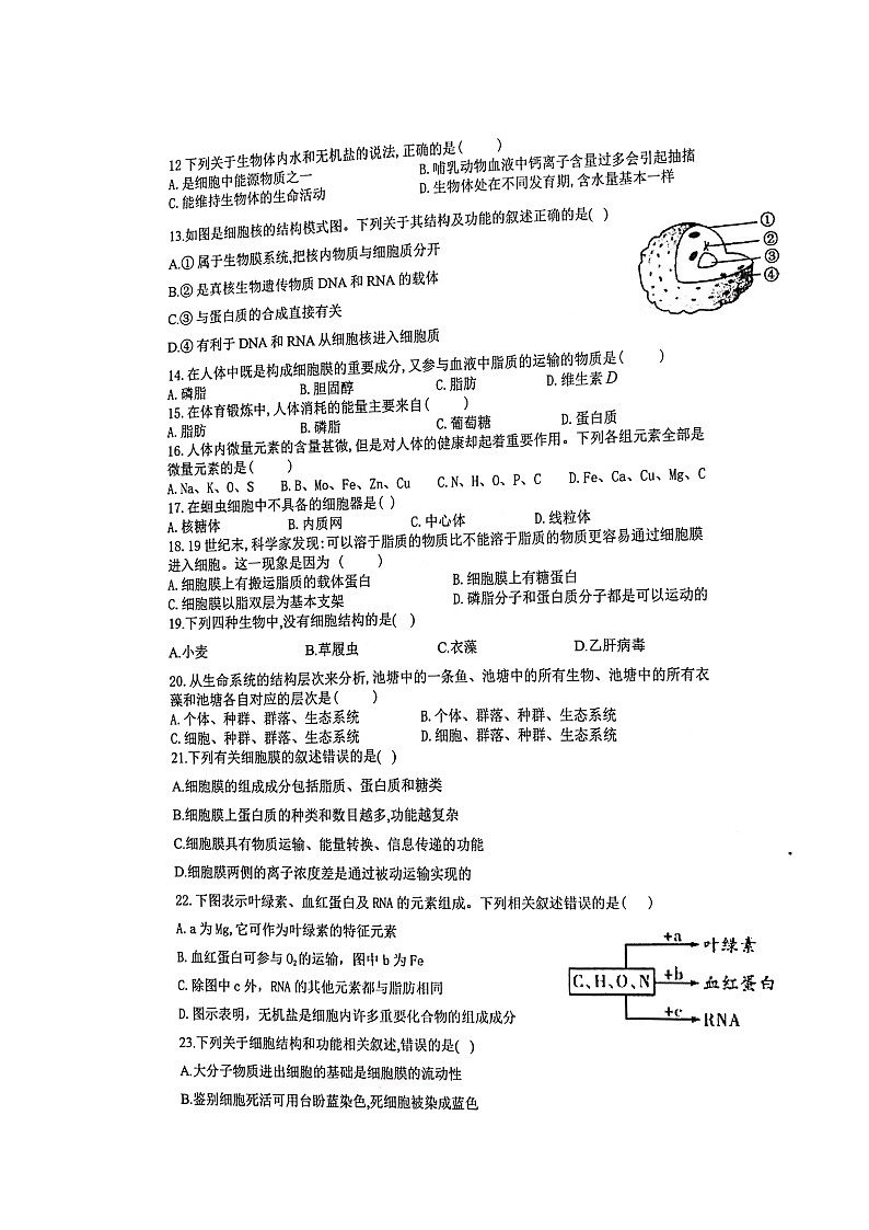 2020衡阳县四中高一（理科实验班）上学期期中考试生物试题（B卷）扫描版含答案第2页