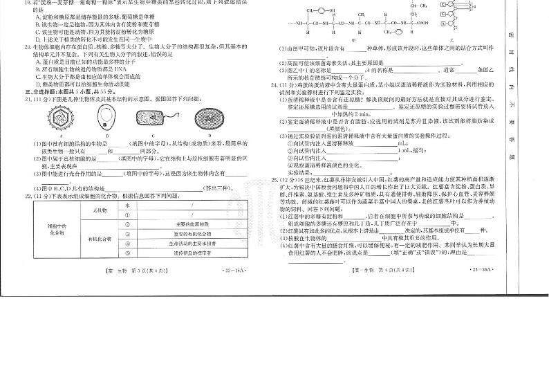 2022-2023学年山西省高一上学期10月第一次模拟选科联考 生物试题 PDF版第2页