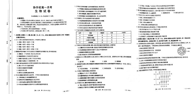 2022-2023学年辽宁省协作校高一上学期第一次月考  生物 PDF版答案第1页