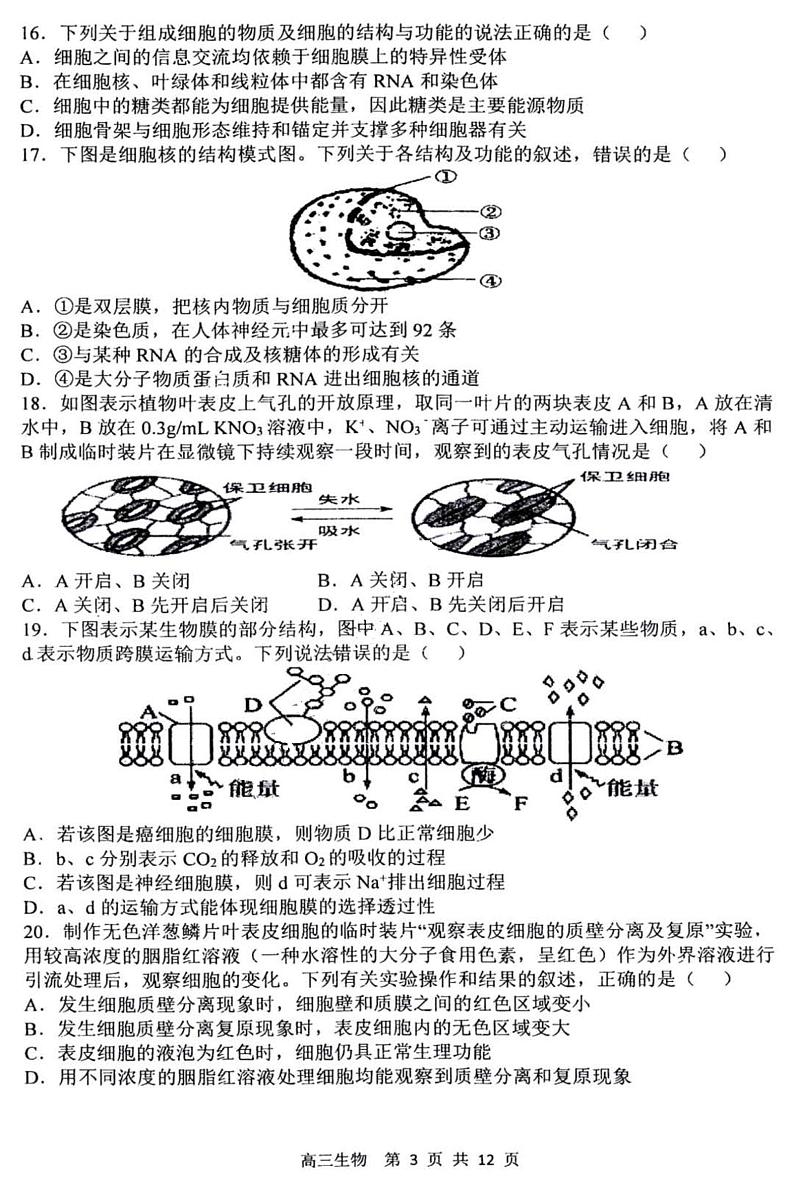 黑龙江省哈尔滨市第三中学校2022-2023学年高三上学期第二次验收考试生物试卷第3页