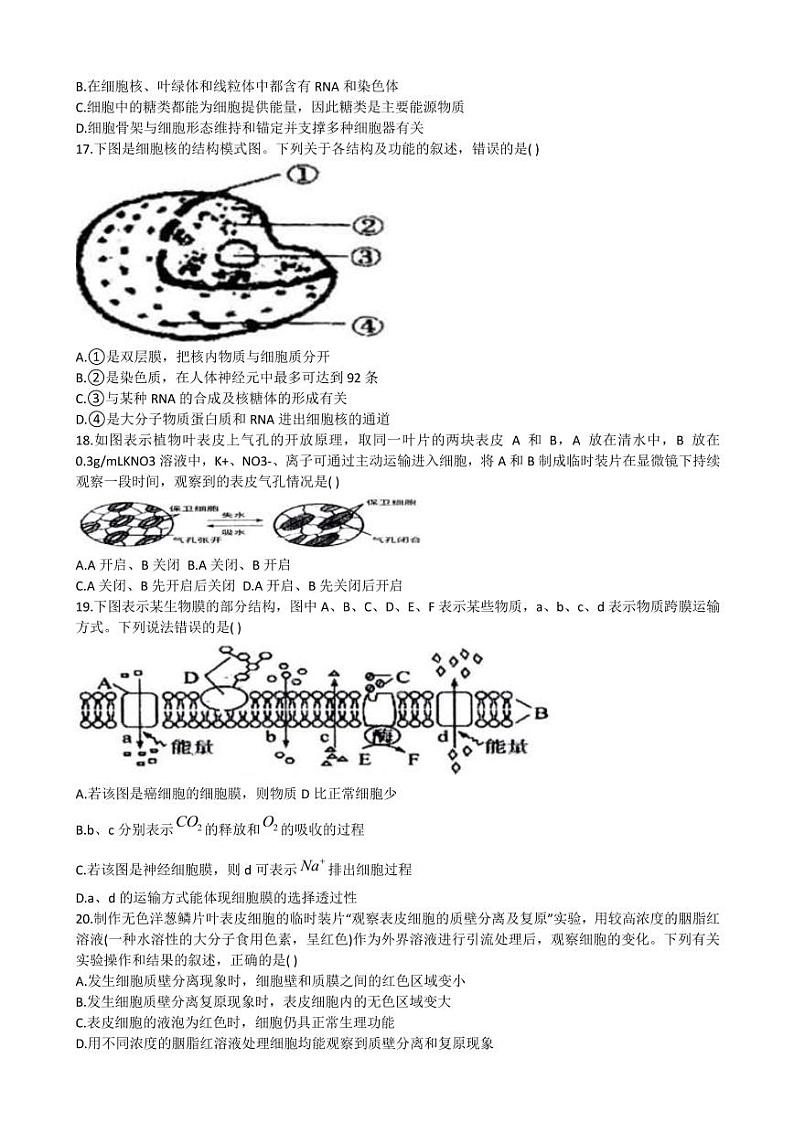 黑龙江省哈尔滨市第三中学校2022-2023学年高三上学期第二次验收考试试题和答案第3页