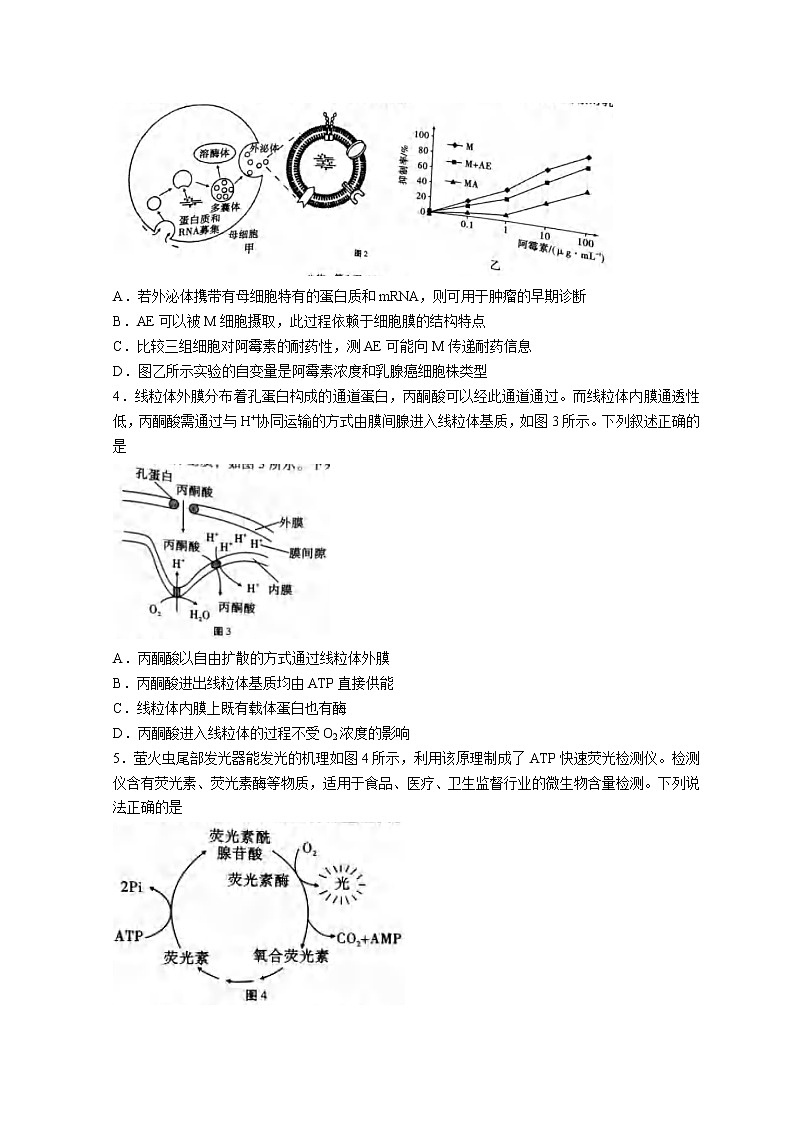2023重庆市巴蜀中学高三上学期适应性月考（三）生物含解析第2页