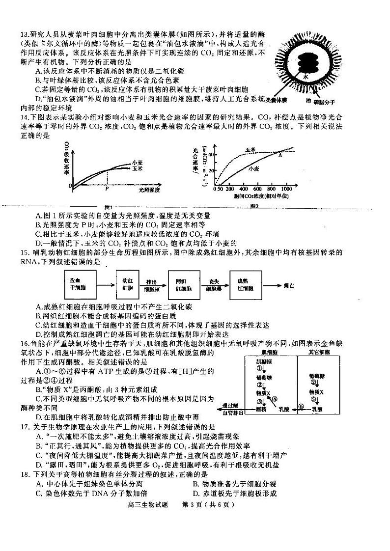2023信阳高三上学期第一次教学质量检测试题生物PDF版含答案03