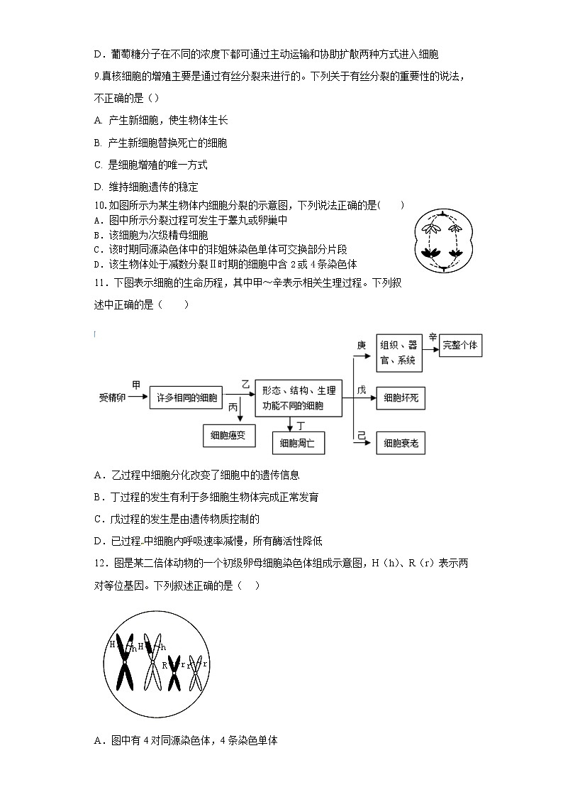 四川省广安市邻水县第二中学2022-2023学年高三上学期10月月考生物试题无答案第3页