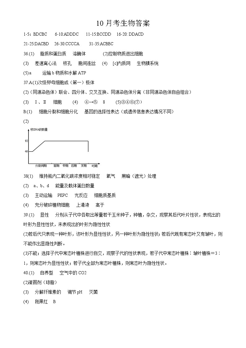 生物10月月考答案第1页