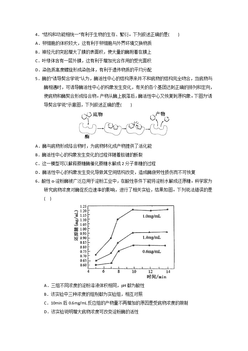 2023广东省实验中学高三上学期第一次阶段考试生物含答案第2页