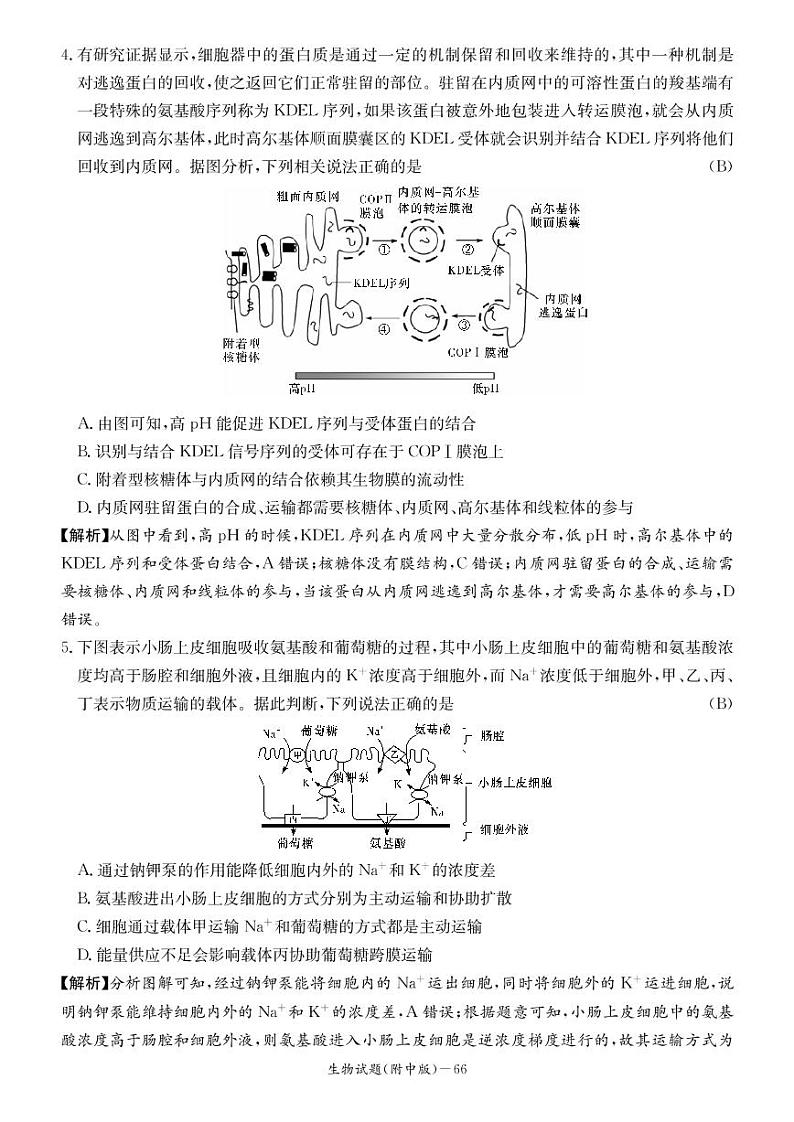 2023湖南师大附中高三月考（二）生物试题PDF版含答案02
