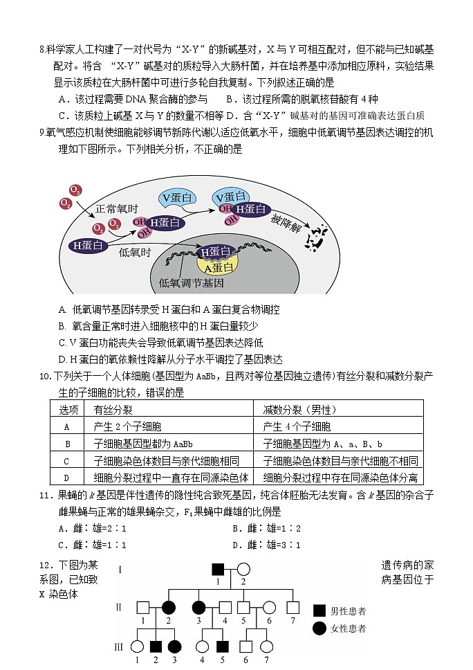 2023北京首都师范大学附属密云中学高三上学期10月阶段性练习生物试题含答案第3页