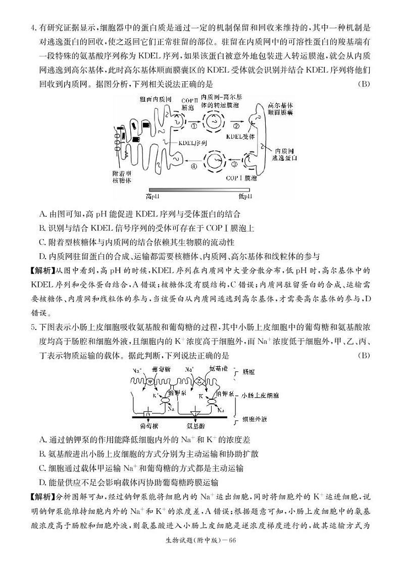 2023湖南师大附中高三上学期月考试卷（二）生物PDF版含解析第2页