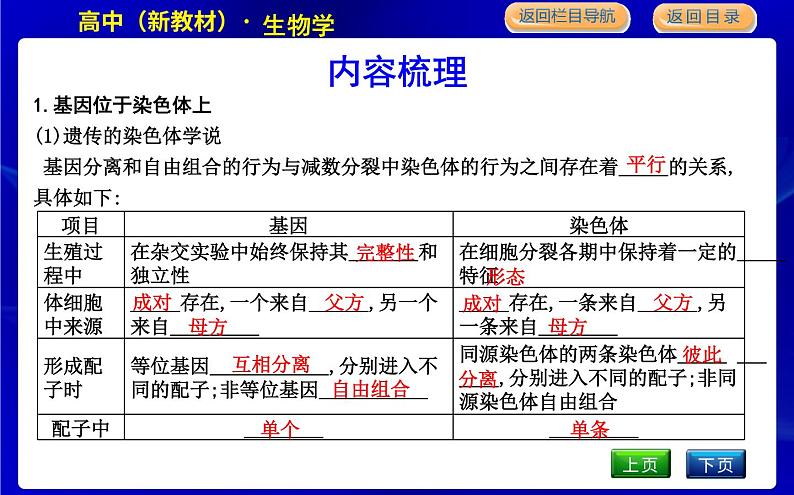 浙科版高中生物学必修2遗传与进化第二章染色体与遗传课时教学课件04