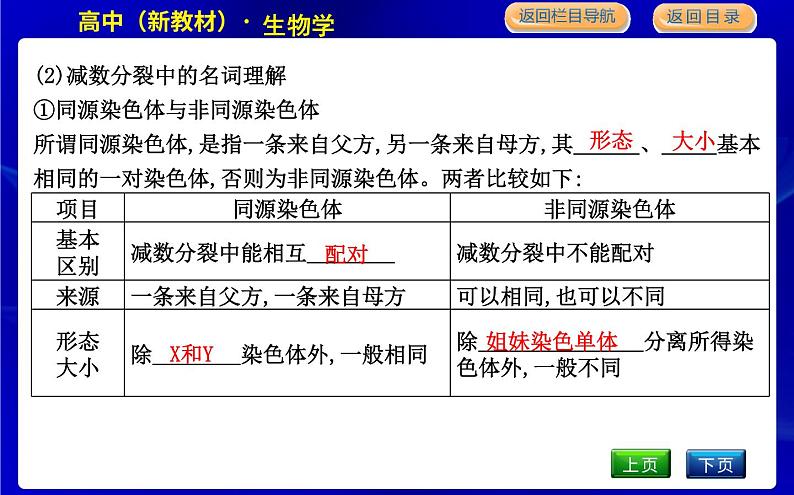 浙科版高中生物学必修2遗传与进化第二章染色体与遗传课时教学课件07