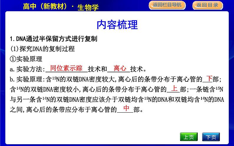 第三节　DNA通过复制传递遗传信息第4页