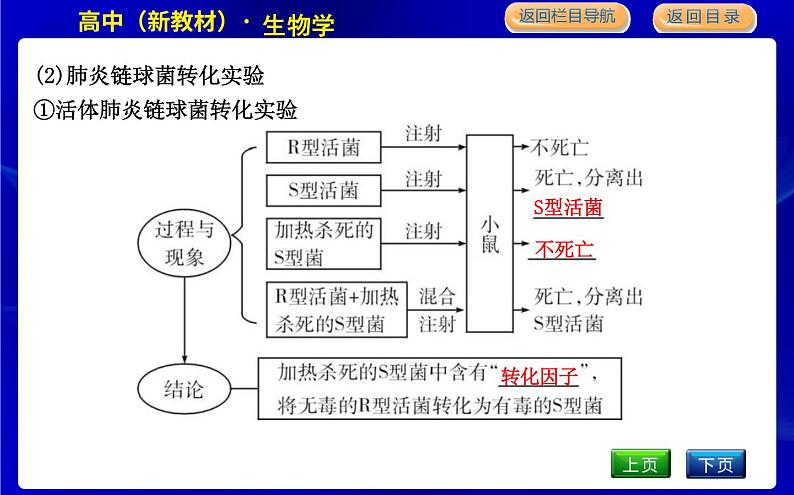 第一节　核酸是遗传物质第6页