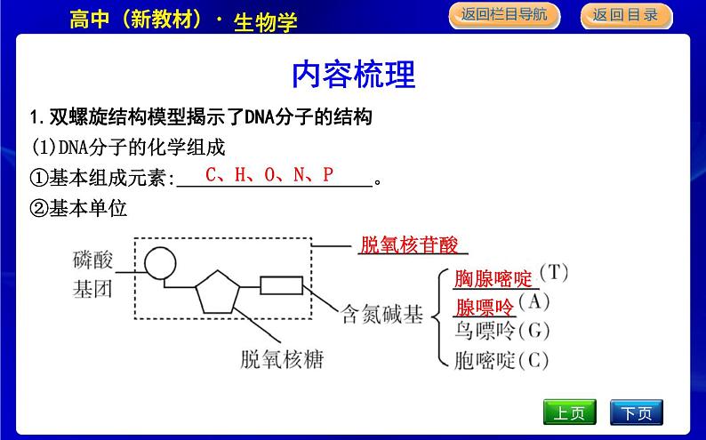 第二节　遗传信息编码在DNA分子上第4页