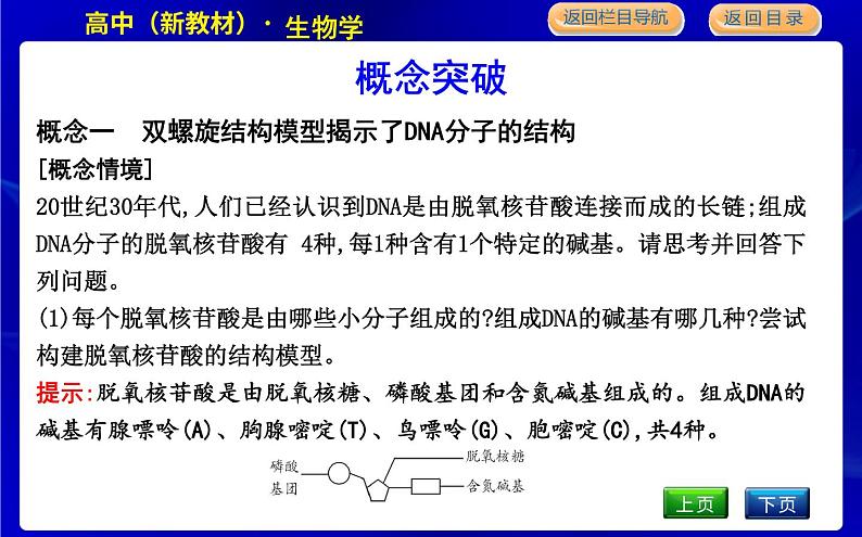 第二节　遗传信息编码在DNA分子上第8页