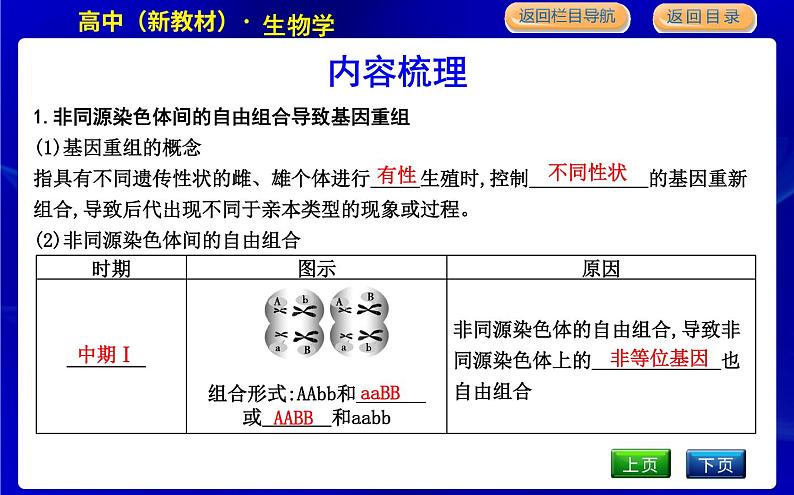 浙科版高中生物学必修2遗传与进化第四章生物的变异课时教学课件04