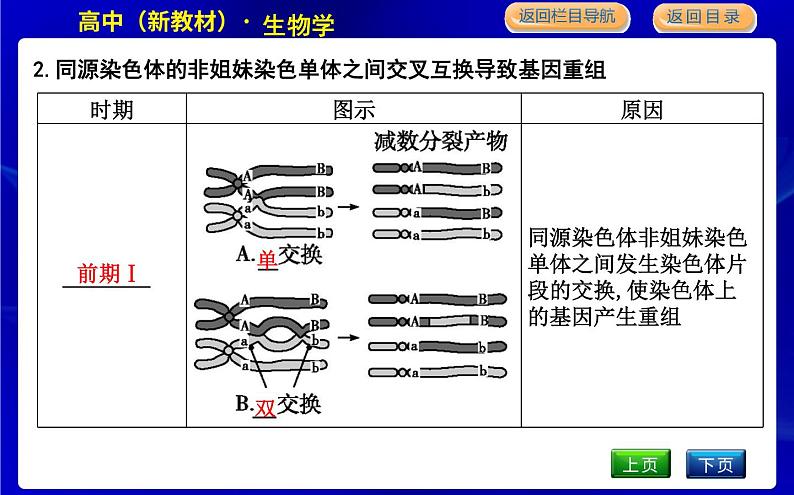 浙科版高中生物学必修2遗传与进化第四章生物的变异课时教学课件05