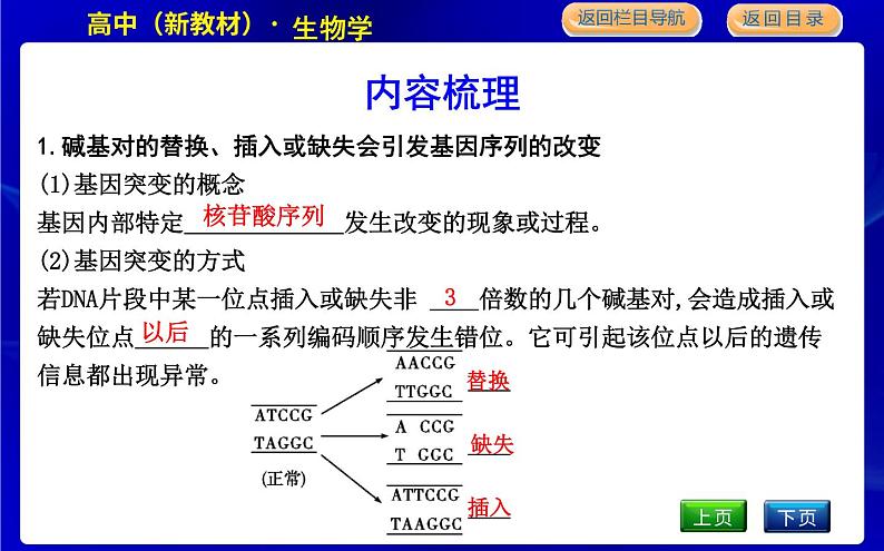 浙科版高中生物学必修2遗传与进化第四章生物的变异课时教学课件04