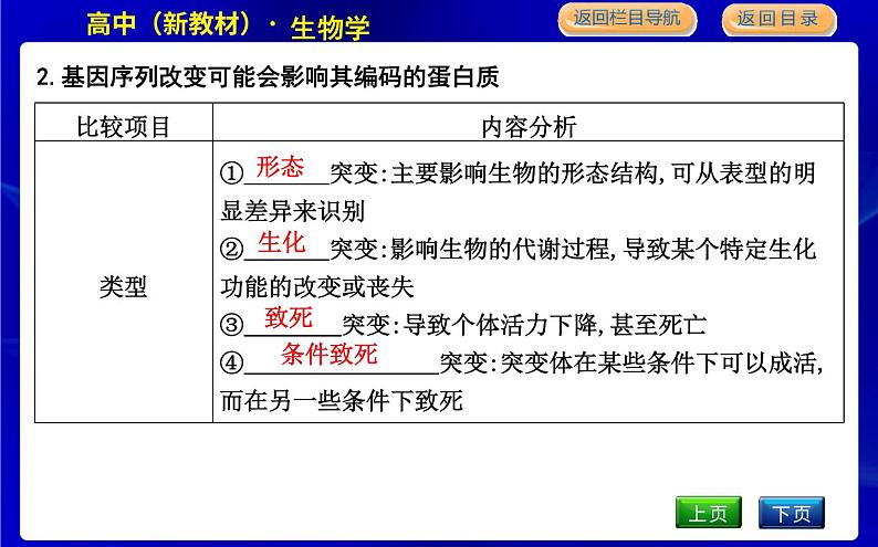 浙科版高中生物学必修2遗传与进化第四章生物的变异课时教学课件05