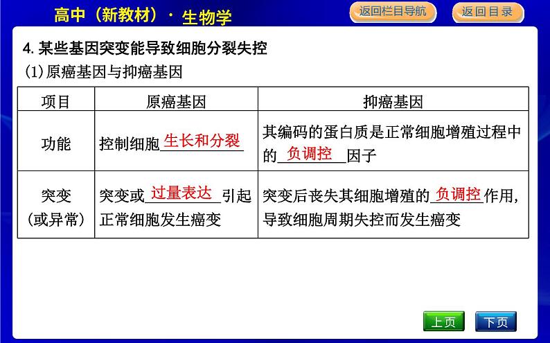 浙科版高中生物学必修2遗传与进化第四章生物的变异课时教学课件08