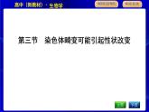 浙科版高中生物学必修2遗传与进化第四章生物的变异课时教学课件