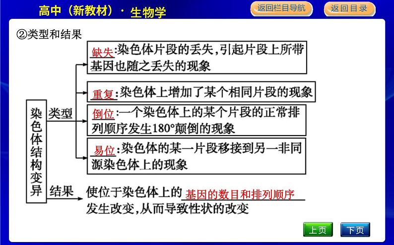 浙科版高中生物学必修2遗传与进化第四章生物的变异课时教学课件05