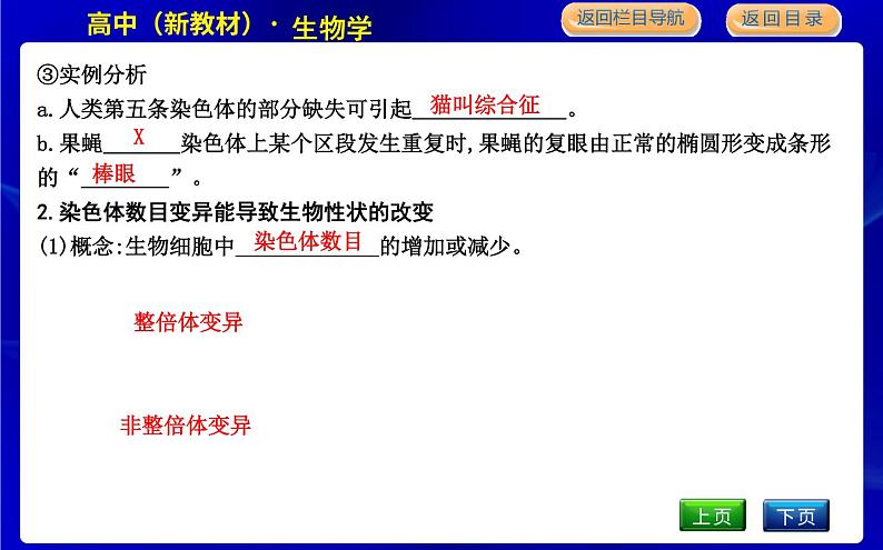 浙科版高中生物学必修2遗传与进化第四章生物的变异课时教学课件06