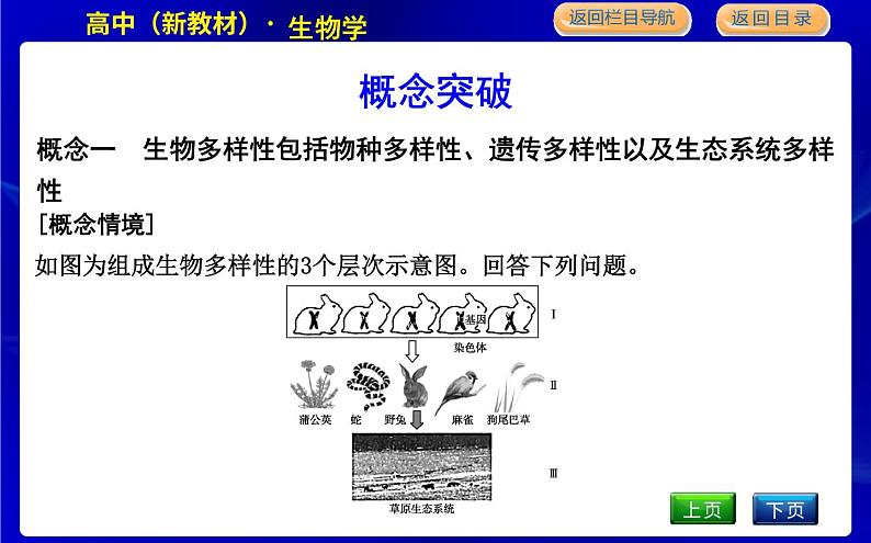 浙科版高中生物学必修2遗传与进化第五章生物的进化课时教学课件08