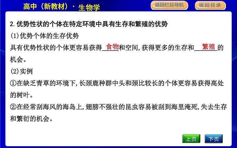 浙科版高中生物学必修2遗传与进化第五章生物的进化课时教学课件05