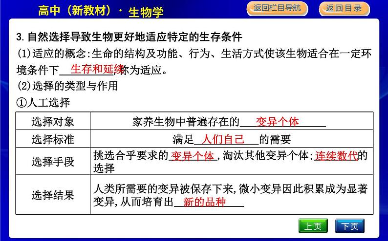 浙科版高中生物学必修2遗传与进化第五章生物的进化课时教学课件06