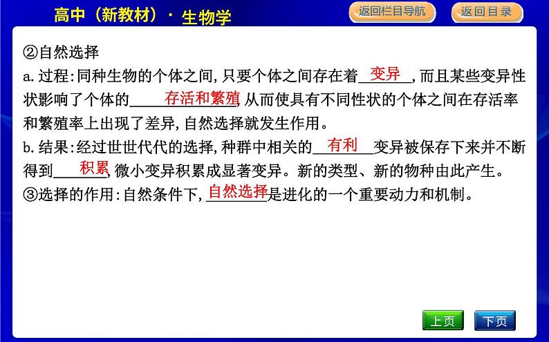 浙科版高中生物学必修2遗传与进化第五章生物的进化课时教学课件07