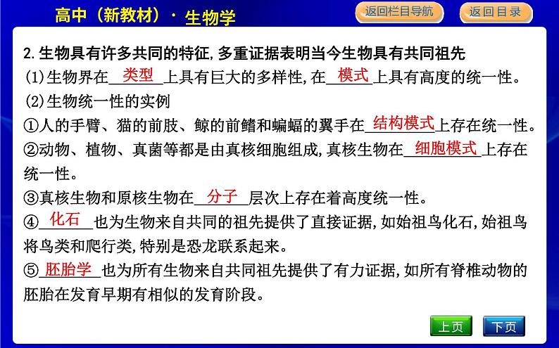 浙科版高中生物学必修2遗传与进化第五章生物的进化课时教学课件05