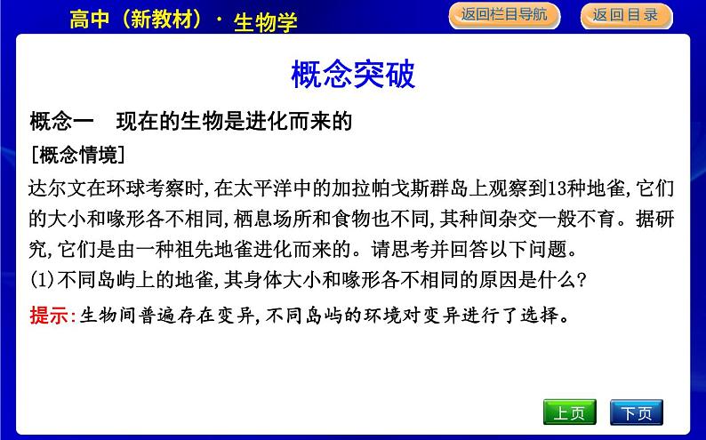 浙科版高中生物学必修2遗传与进化第五章生物的进化课时教学课件06