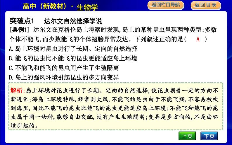 浙科版高中生物学必修2遗传与进化第五章生物的进化课时教学课件08