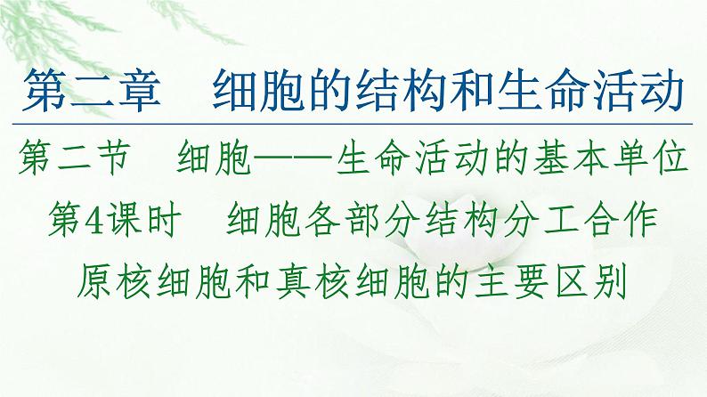 苏教版高中生物必修1第2章第2节第4课时细胞各部分结构分工合作原核细胞和真核细胞的主要区别课件01