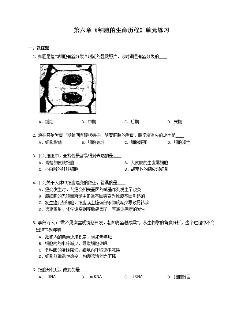 第六章《细胞的生命历程》单元练习 (1)第1页