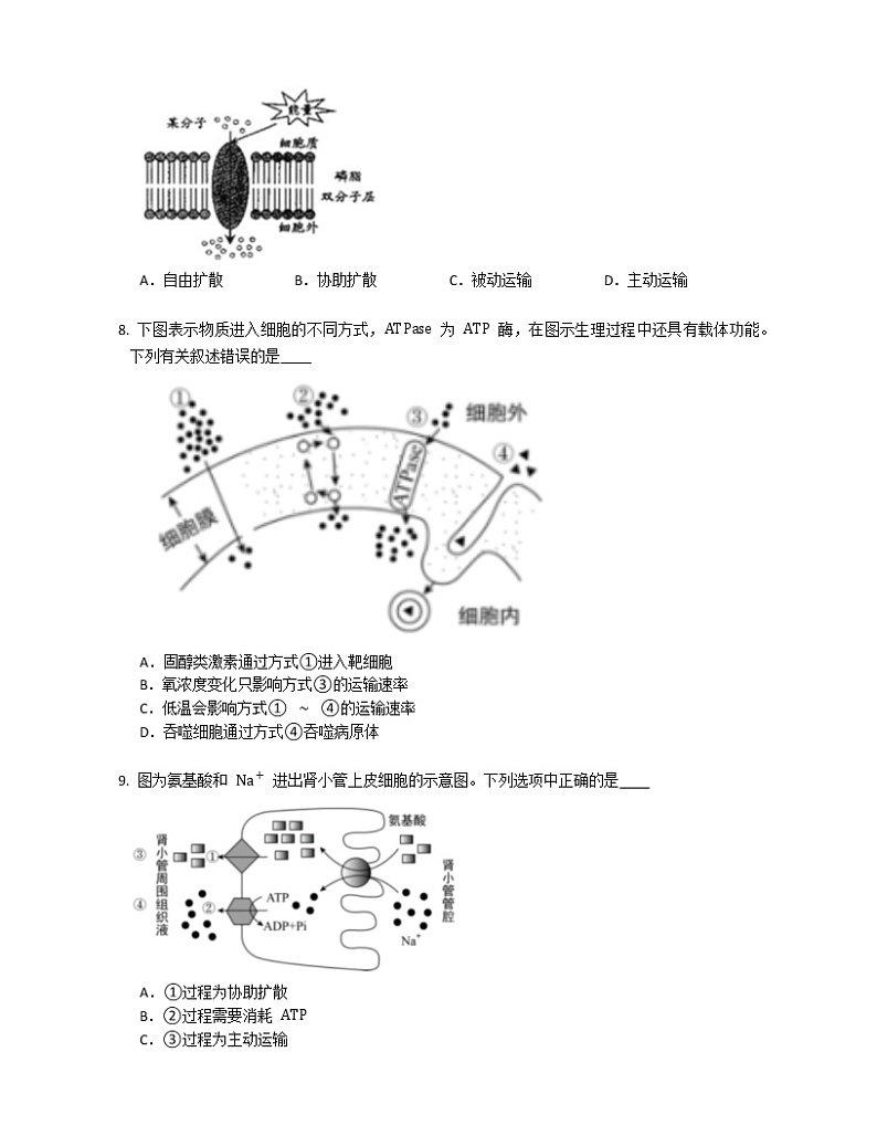 第四章《细胞的物质输入和输出》单元练习02