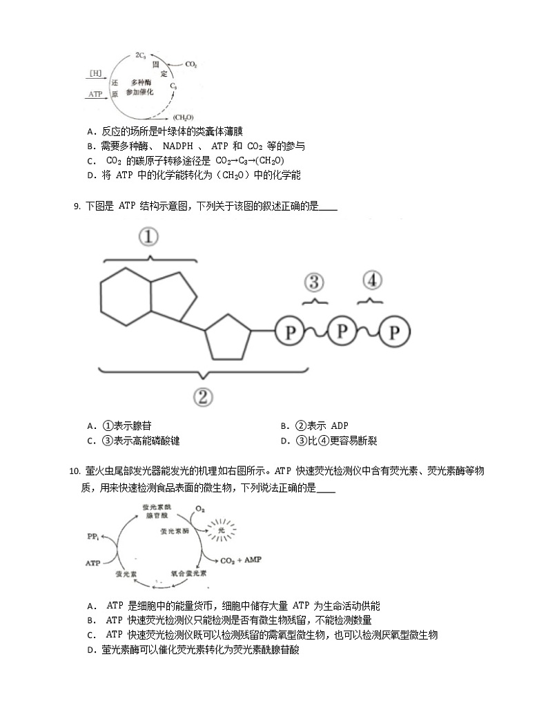 第五章《细胞的能量供应和利用》单元练习第2页