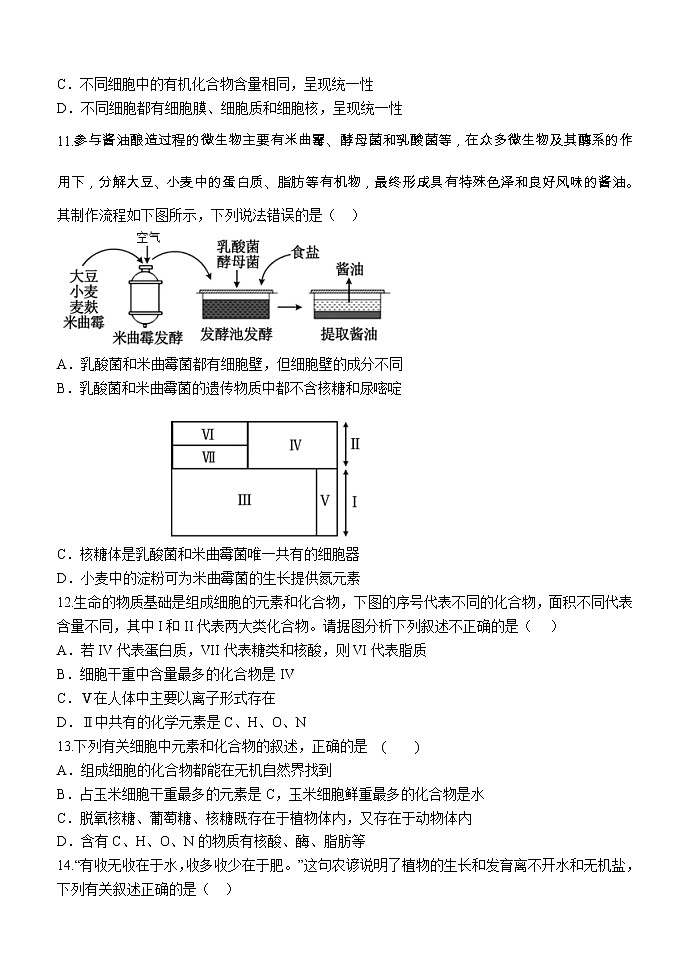 广东省深圳实验学校高中部2022-2023学年高一上学期第一阶段考试生物试卷（含答案）03