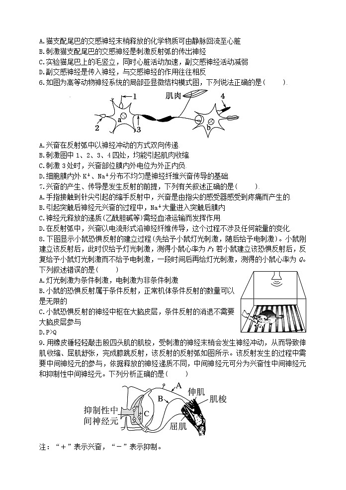 广东省深圳实验学校2022-2023学年高二上学期第一次阶段测试生物试题（含答案）02