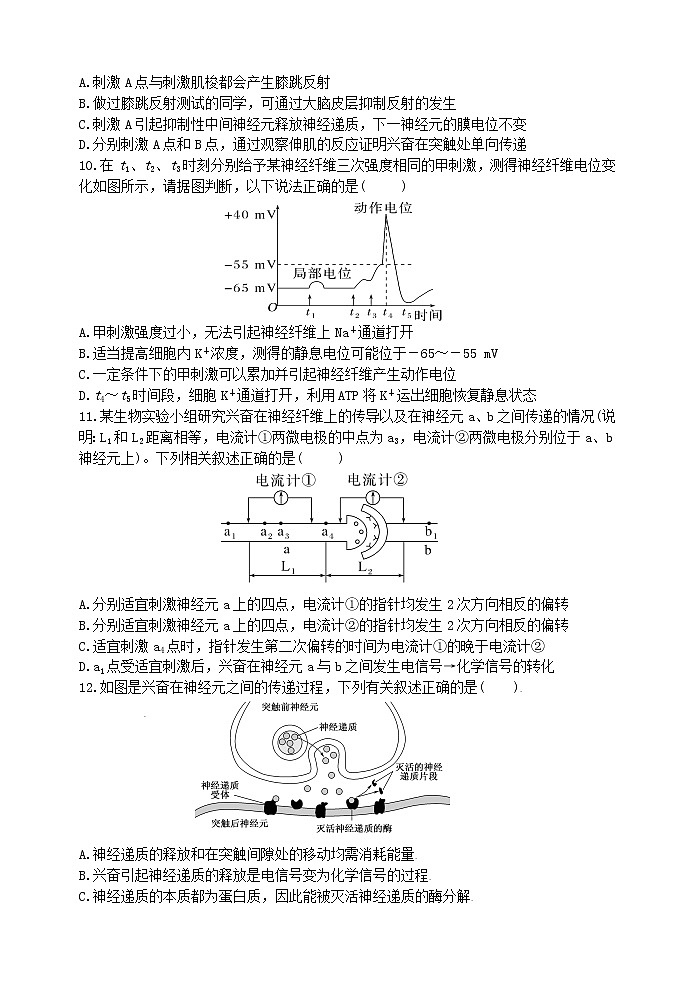 广东省深圳实验学校2022-2023学年高二上学期第一次阶段测试生物试题（含答案）03
