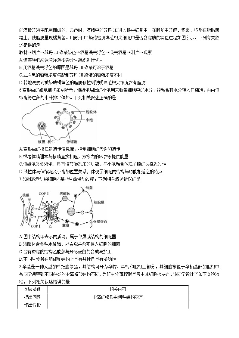 安徽省皖优联盟2022-2023学年高三上学期第一次阶段测试生物试题（含答案）第2页